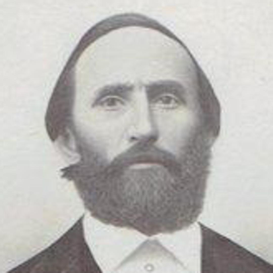 David Davis Reese (1828 - 1894) Profile
